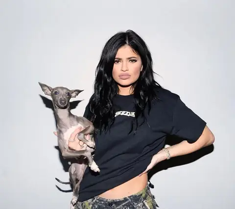 How Many Dogs Does Kylie Jenner Have? A Deep Dive Into Her Canine Companions 